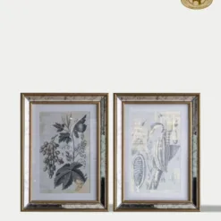 Framed Botanical Print – Set of 2